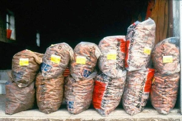 Gulrotavlingen er vist i forhold til avstanden fra leskjermen, hvor sekkene til høyre er høstet nærmest leskjermen. Økende avstand fra skjermen mot venstre.