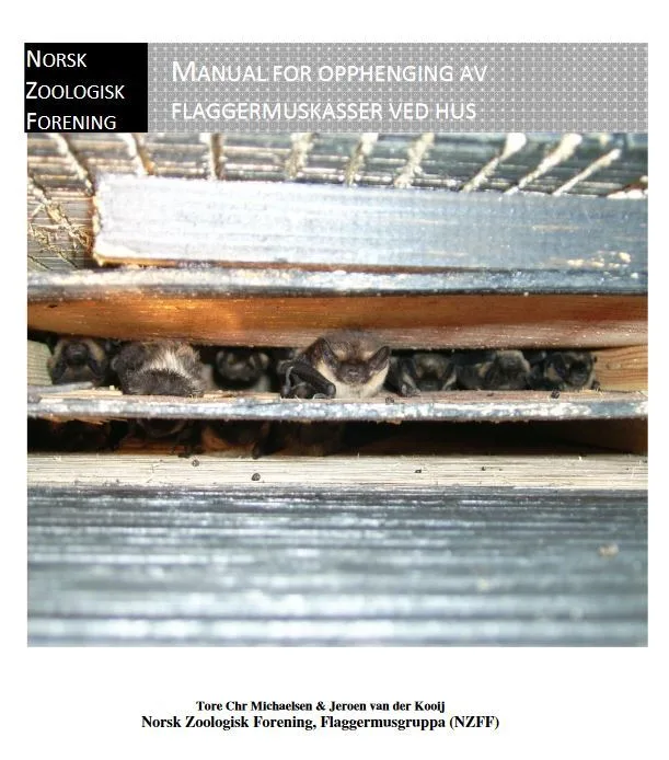 På nettsiden til Norsk Zoologisk Forening kan du blant annet laste ned en manual for bygging av flaggermuskasser