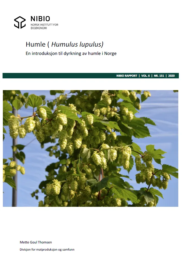 LES HELE RAPPORTEN: Trykk på bildet og les hele rapporten.