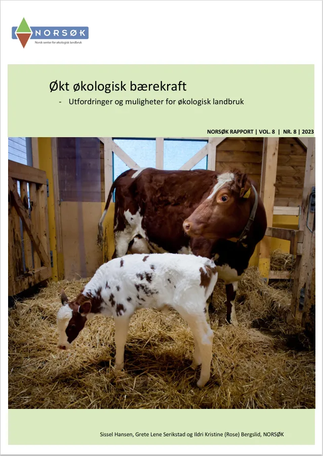 Klikke på bildet for å lese rapporten.