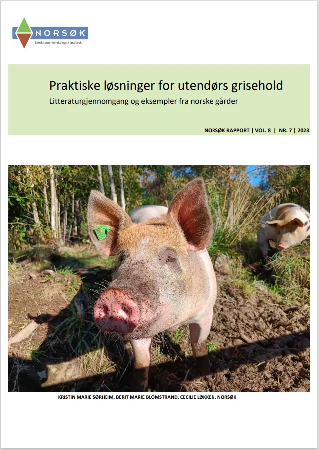 I denne rapport blir praktiske løsninger for utendørs grisehold presentert gjennom bilder og figurer.