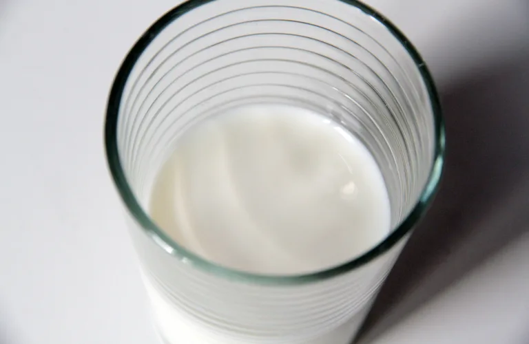 Oftare hausting gjev meir fytoøstrogen og feittsyrer i mjølka