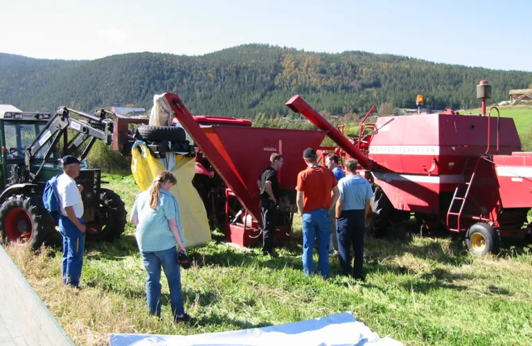 Krossensilering av korn