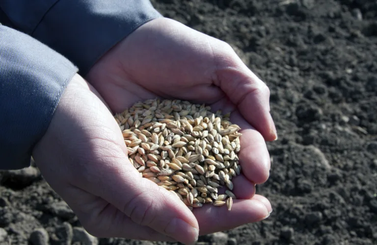 Tilskudd har bidratt til å nå mål