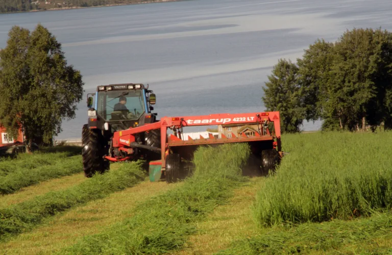 Haustetidspunkt i eng