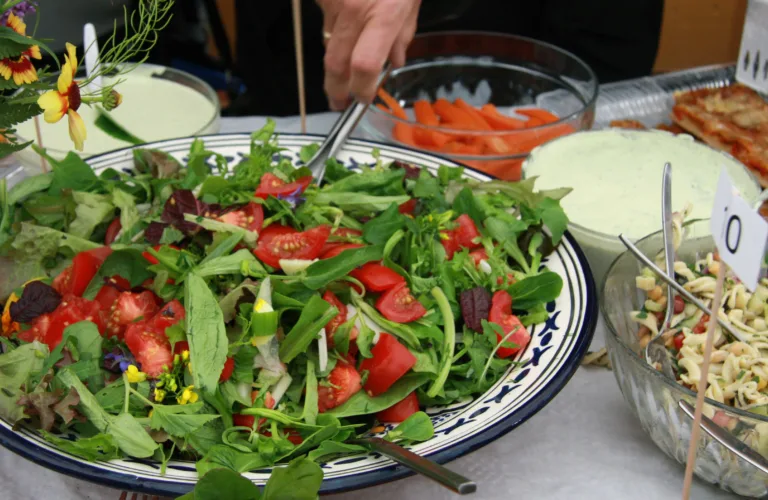 Omlegging til økologisk - hva skal til?