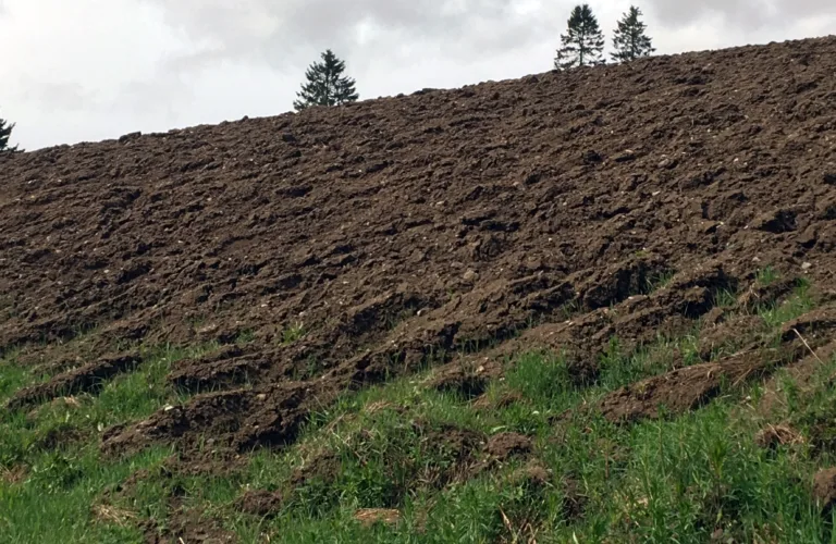 Utslipp av lystgass fra eng og åker - og hvordan de kan reduseres