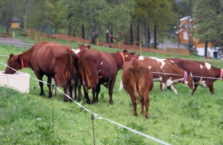 Miljøvennlig drift – kan det være lønnsomt også?