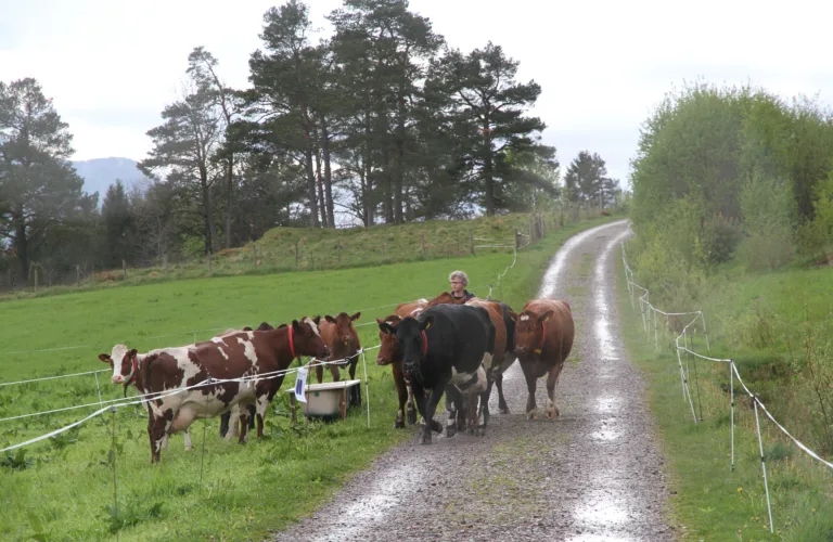 Svensk rapport gav diskusjon om økologisk landbruk