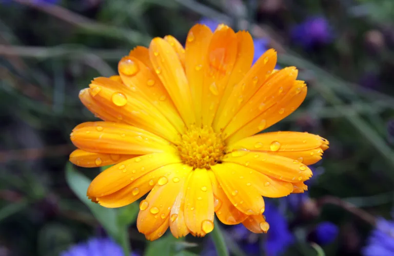 Livsløpsanalyser er ikke tilstrekkelig utviklet