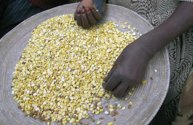 Nok mat med økologisk landbruk