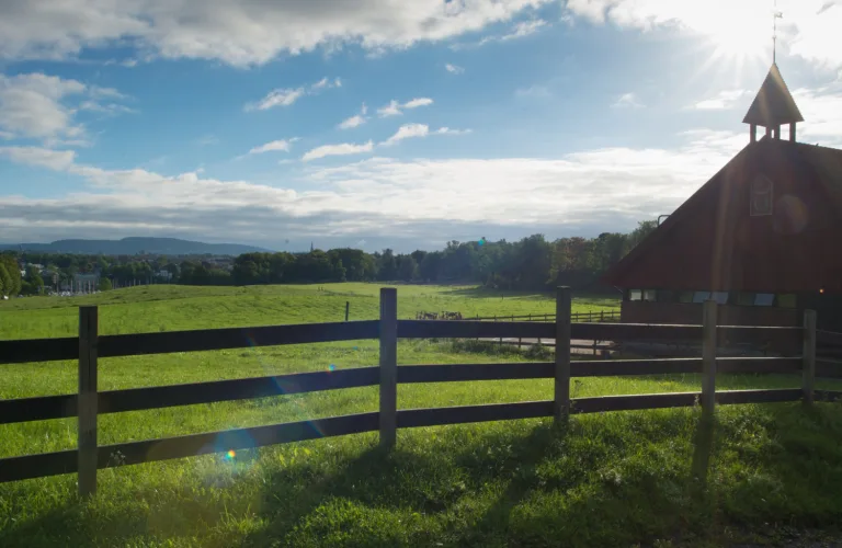 Økologisk landbruk og klimaendringer