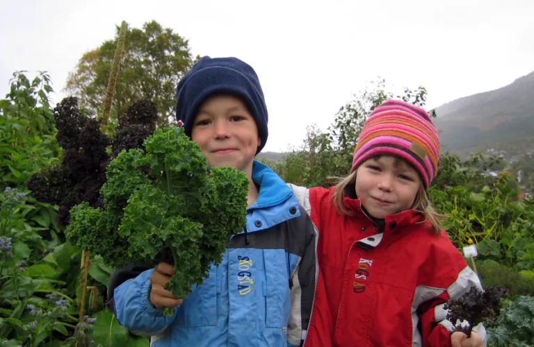 Dyrk og spis nye grønnsaker!