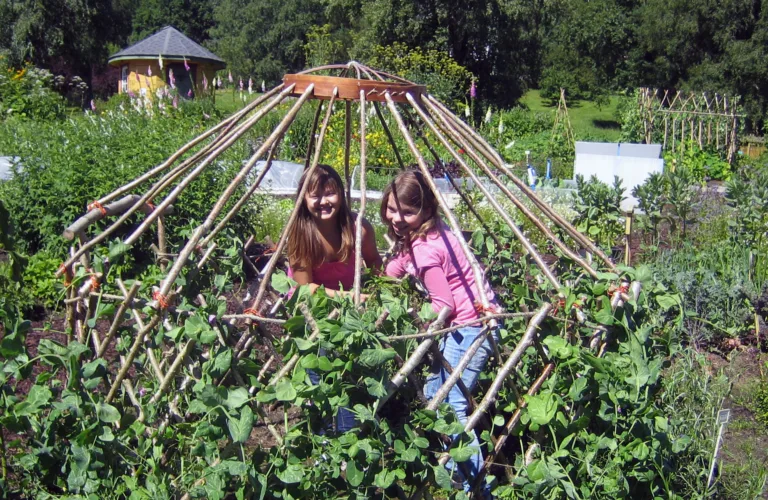 Skolehage i alle fag