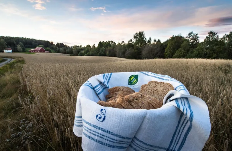 Økologisk mat - bra for klimaet?