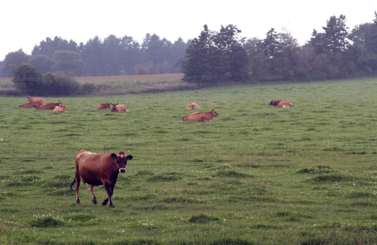 Rapport fra Nordisk konferanse