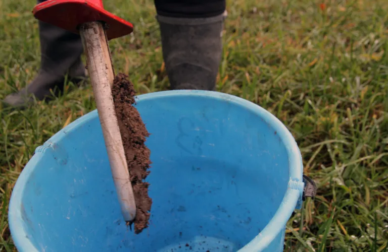 Kaliumtilførsle i eng på ulike jordartar