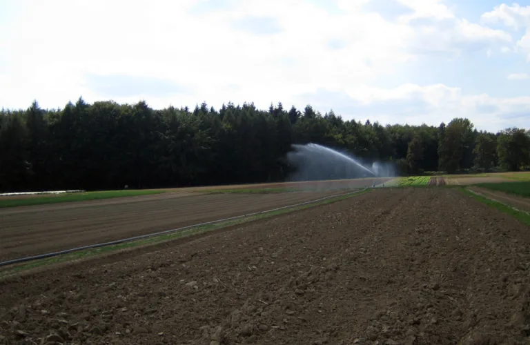 Falsk såbed og utsatt såtid