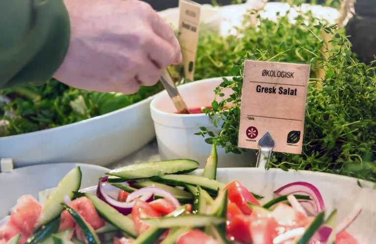Forskere anbefaler økologisk mat