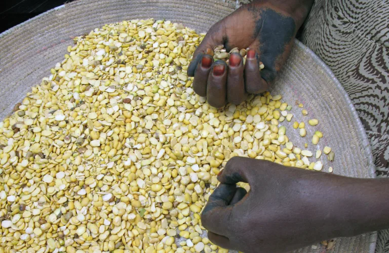 Rettferdighetsprinsippet