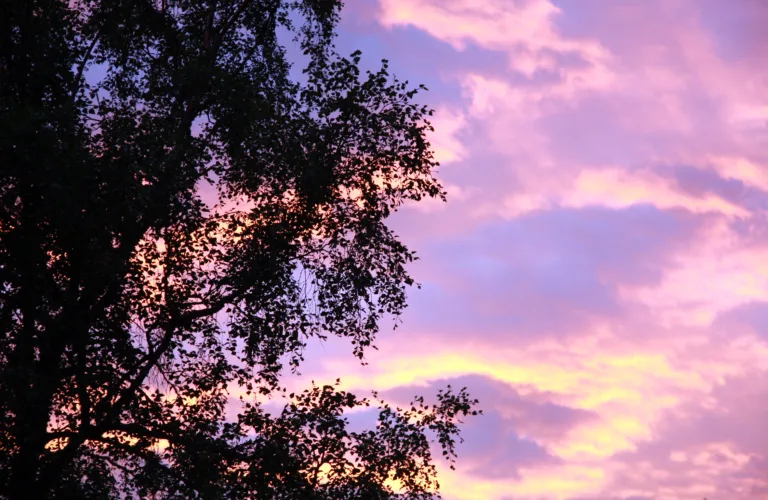 Kunnskap for å forstå klimaendringene