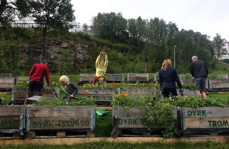 Spiselige planter midt i byen