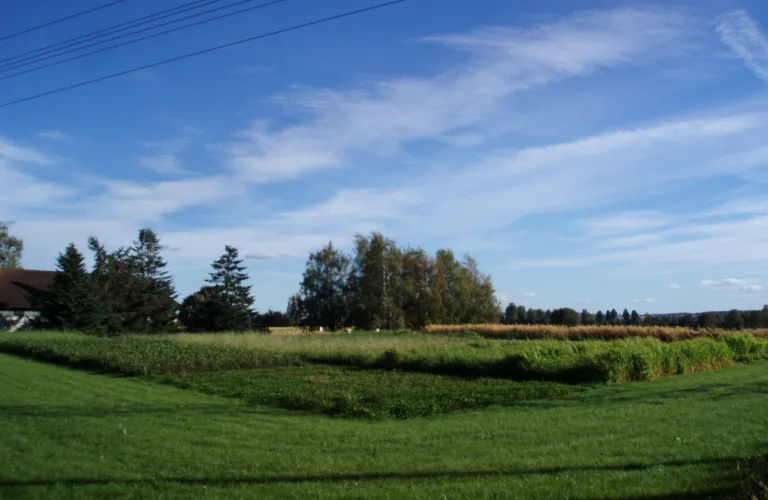 Arealer og produksjoner