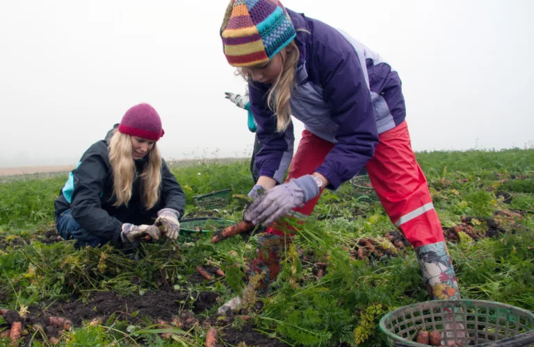 Andelslandbruket som økologisk spydspiss