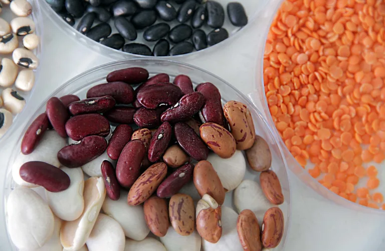 Kjernen i økologisk er belgvekster