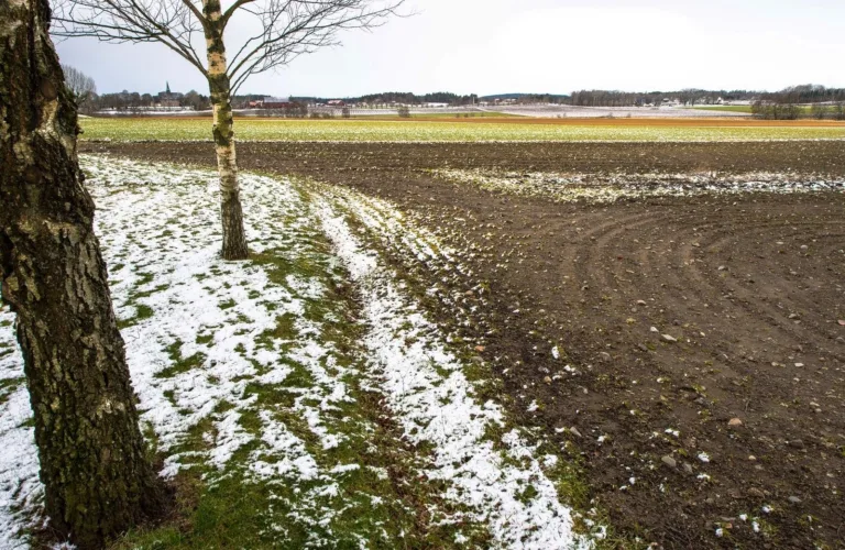 Lagring av karbon i jord