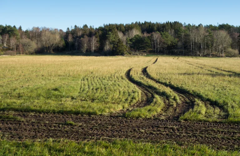 Faste kjørespor bra for avlingsnivå, rotvekst og nitrogenforsyning