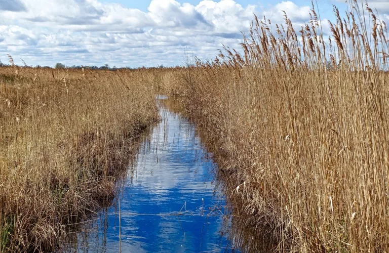 Jord, drenering og klimagassutslipp