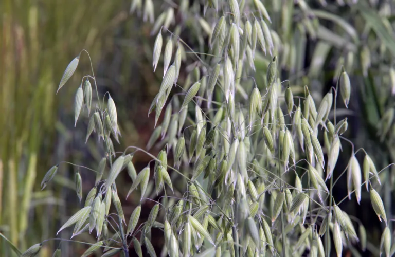 Kartlegging av økonomisk resultat