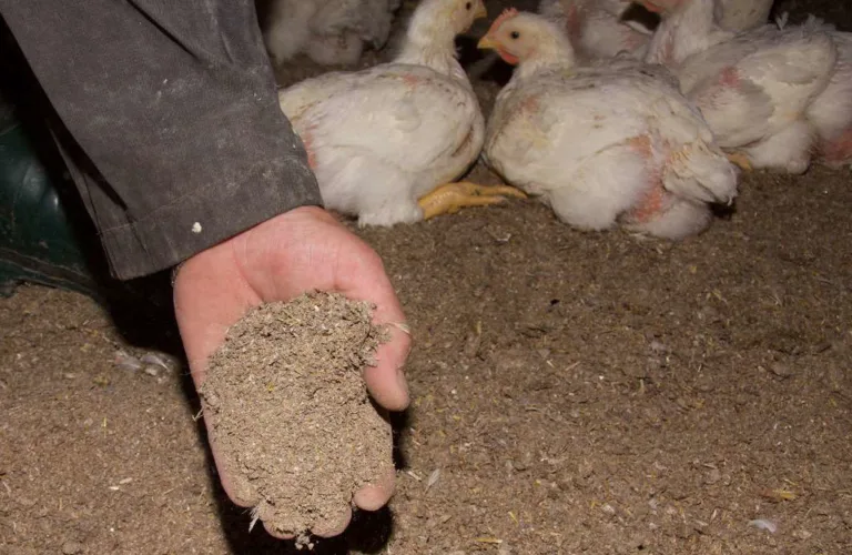 Husdyrgjødsel i haug: Dekk med duk!