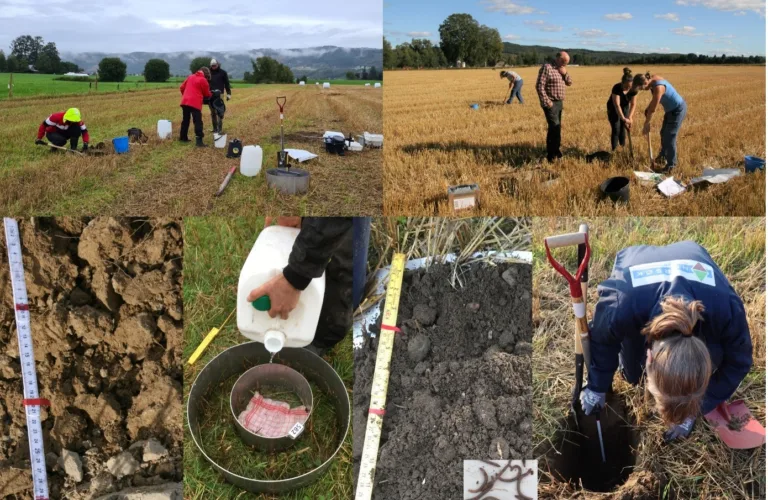 Karbon til bondens beste