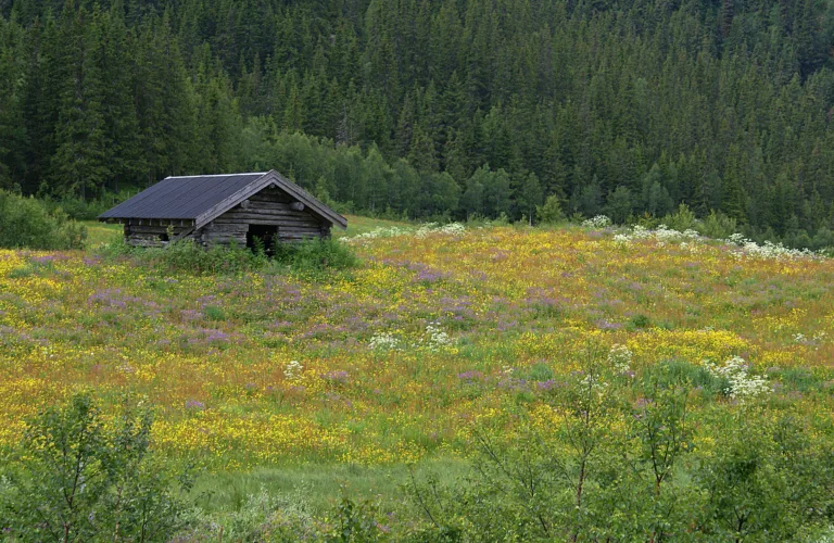 Mangfold både over og under jorda gir økt matsikkerhet