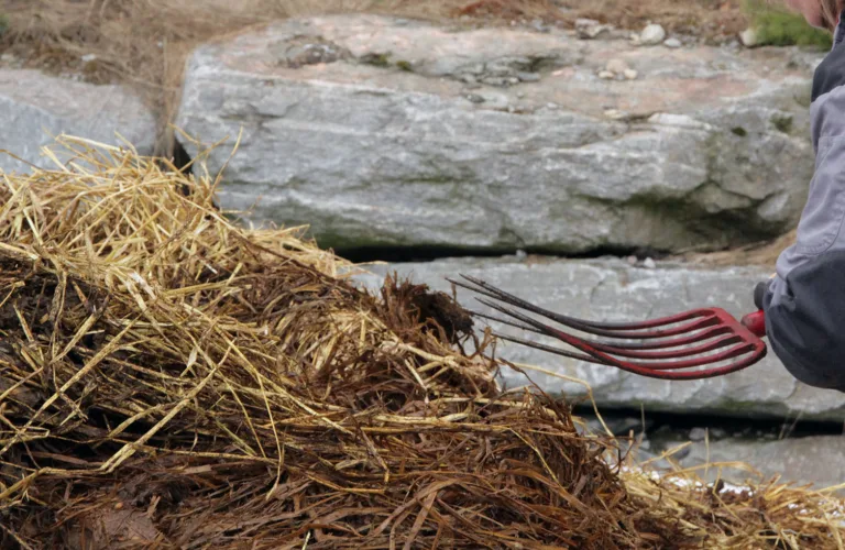 Kompost - ei vitamininnsprøytning