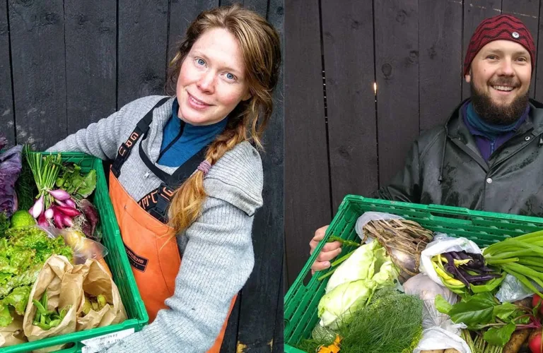 Insektmøkk som gjødsel - en test på Undeland gård