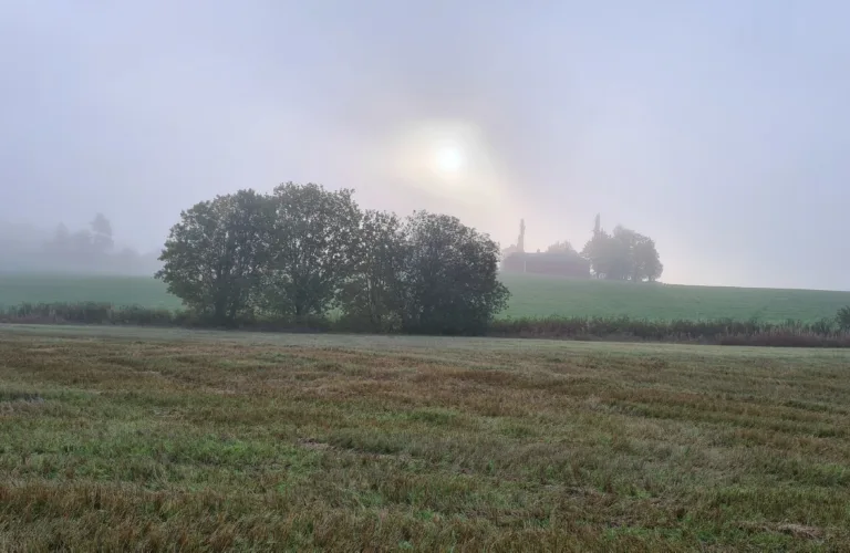 Karbonbalansen i svensk jordbruk kartlagt