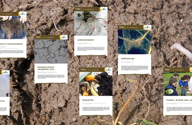 Temaark om livet i jorda og kompostering