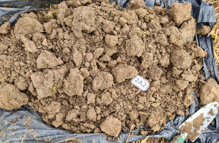 Aggregater i jord - viktig for jordstrukturen