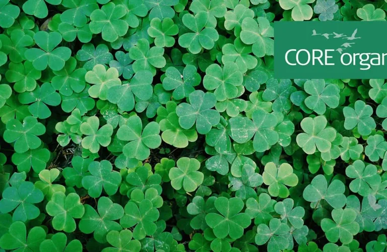 CORE ORGANIC: 15 år med europeisk forskningssamarbeid
