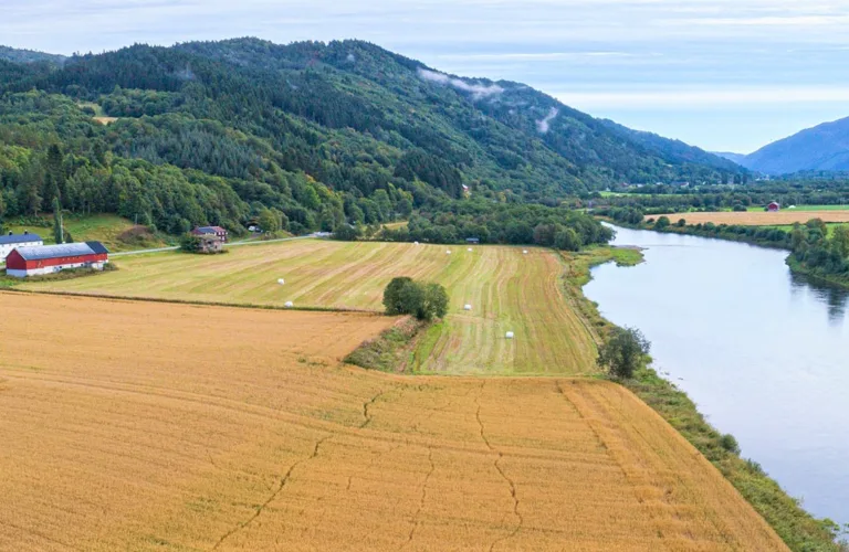 Muligheter for økologisk landbruk i Møre og Romsdal