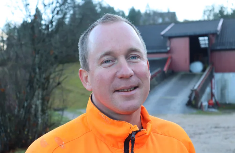 Det gode saueliv på Smedsland