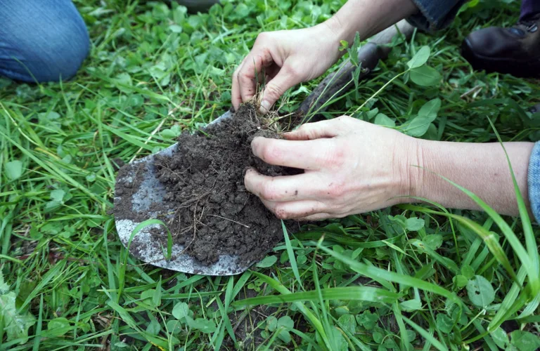 Korleis jord har blitt danna