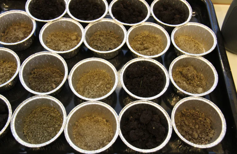 Organisk materiale og tolking av data