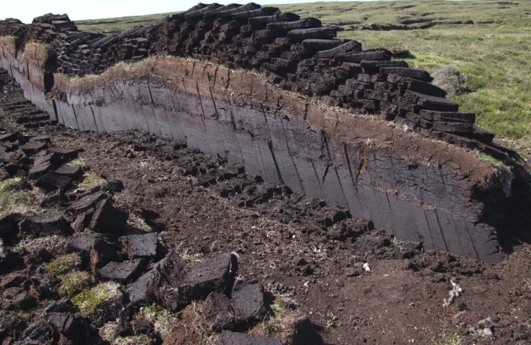 Alternativer til torv i vekstmedier