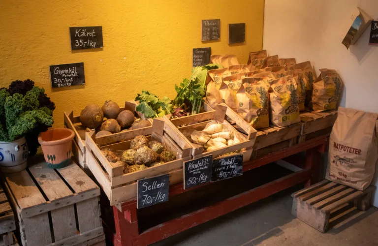 Sterk etterspørsel, svak lønnsomhet – hva skal til for å styrke markedshagene?