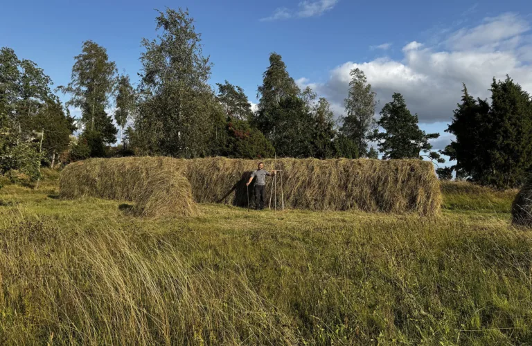 Beitedyr, samarbeid og kjærlighet til naturen – lærdommer fra Rävbacken
