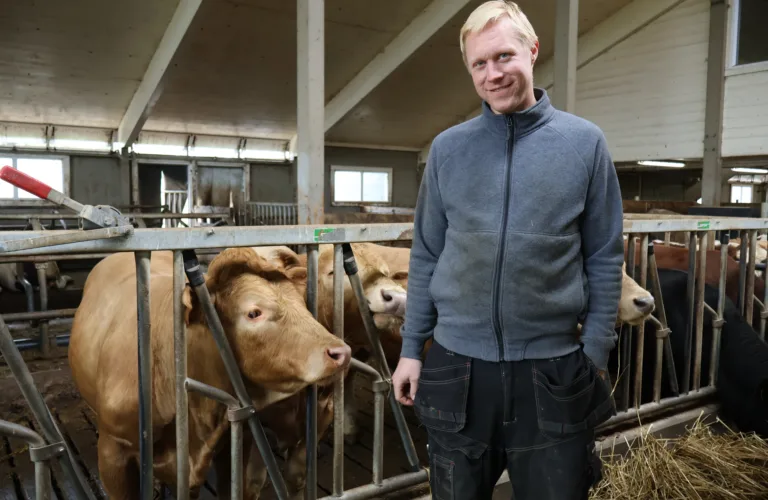 Økologisk melk, egne okser og lokal foredling